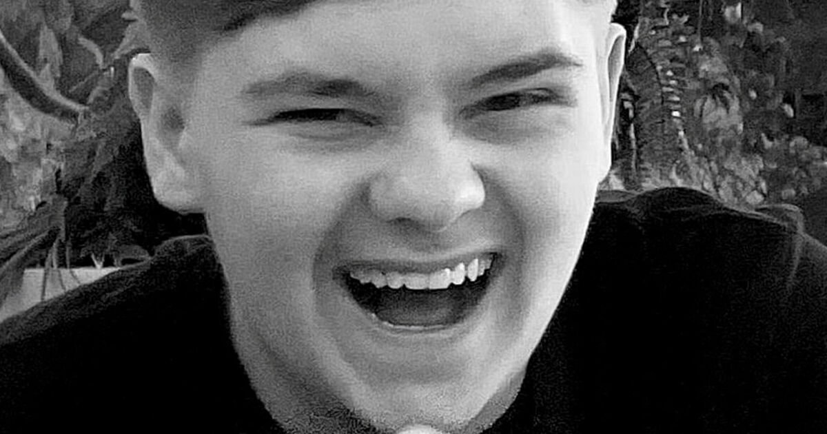 Schoolboy-Harvey-Willgoose-was-stabbed-with-such-force-blade-cut.jpg