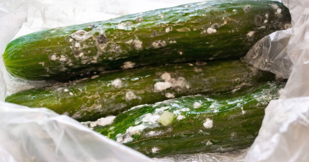 Cucumbers-will-stay-fresh-and-wont-go-slimy-if-stored.jpg
