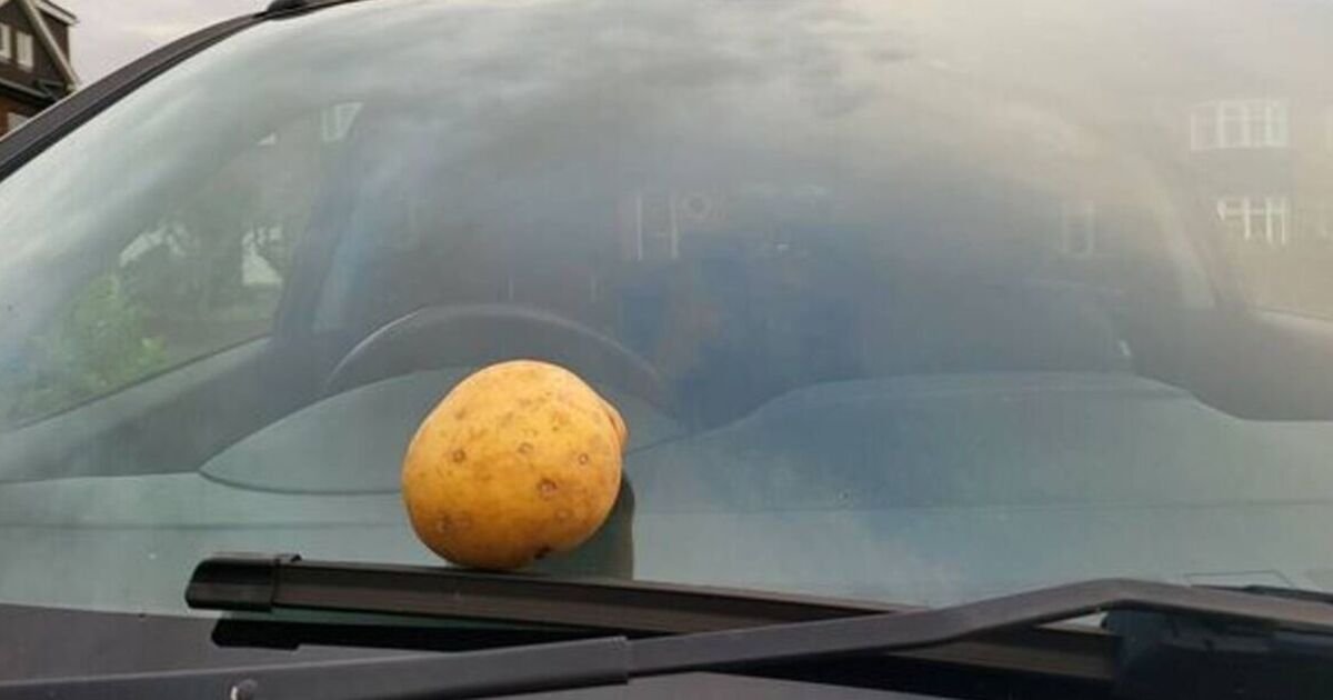 Drivers-urged-to-rub-potato-on-car-this-week.jpg