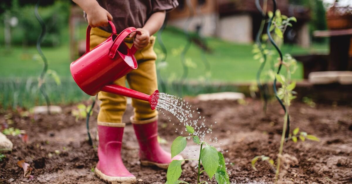 Five-gardening-activities-to-do-with-your-kids-over-the.jpg