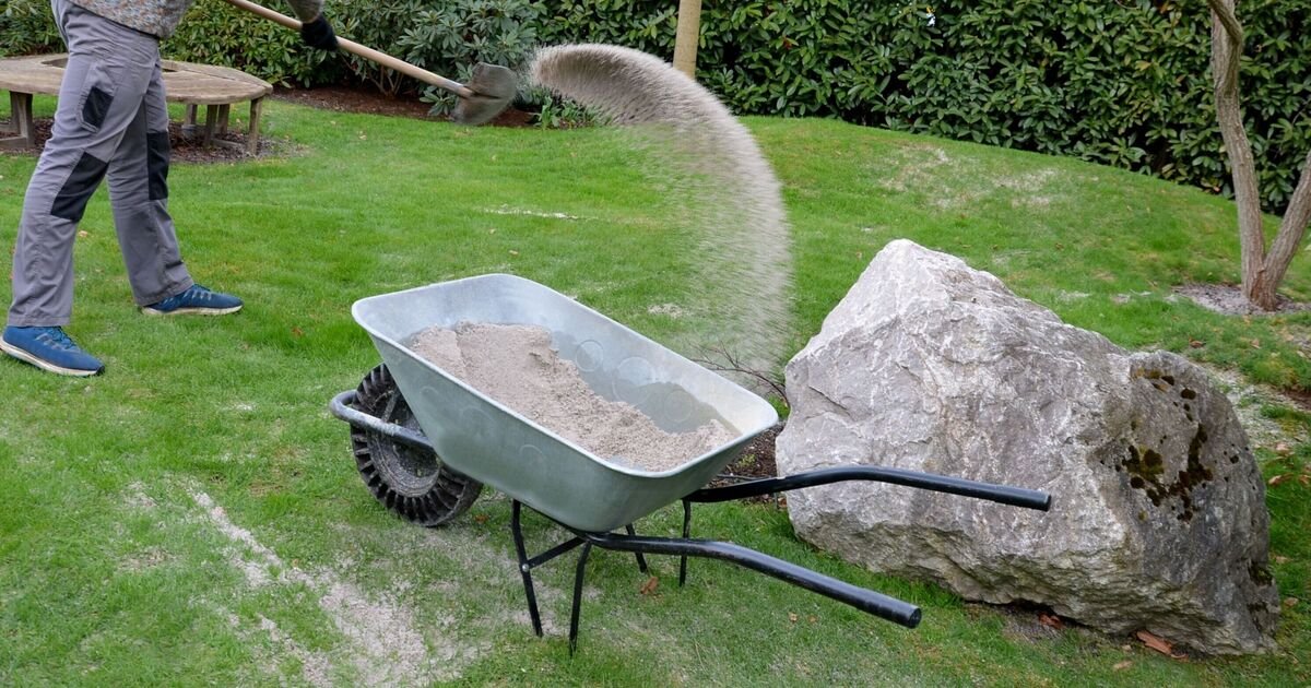 Gardeners-urged-to-pour-sand-on-lawn.jpg