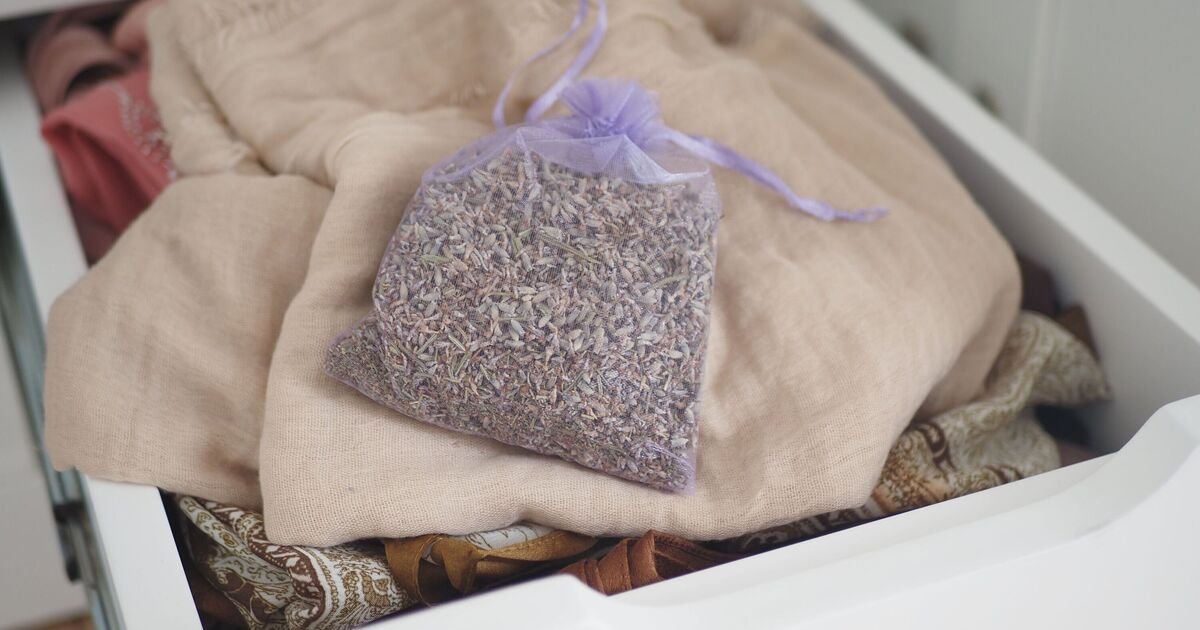 Households-urged-to-put-lavender-in-wardrobes-this-autumn.jpg