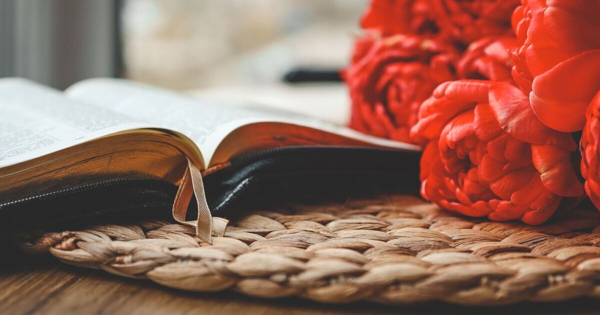 Author of modern literary classic to release memoir in November