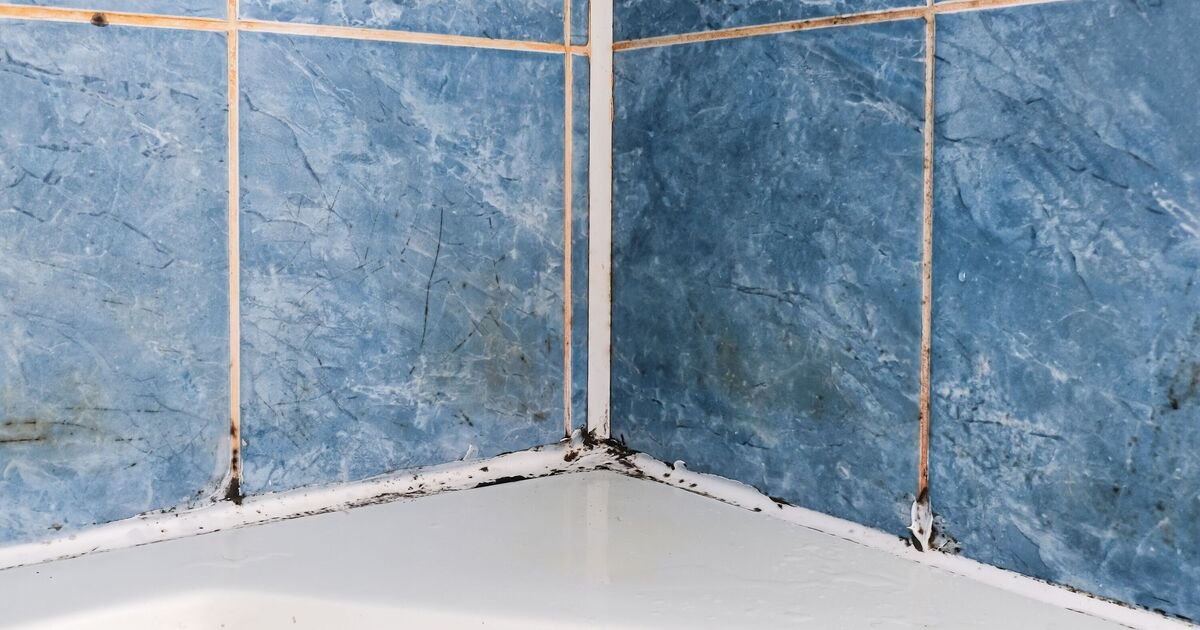 How-to-remove-mould-stains-from-grout-fast-without-bleach.jpg