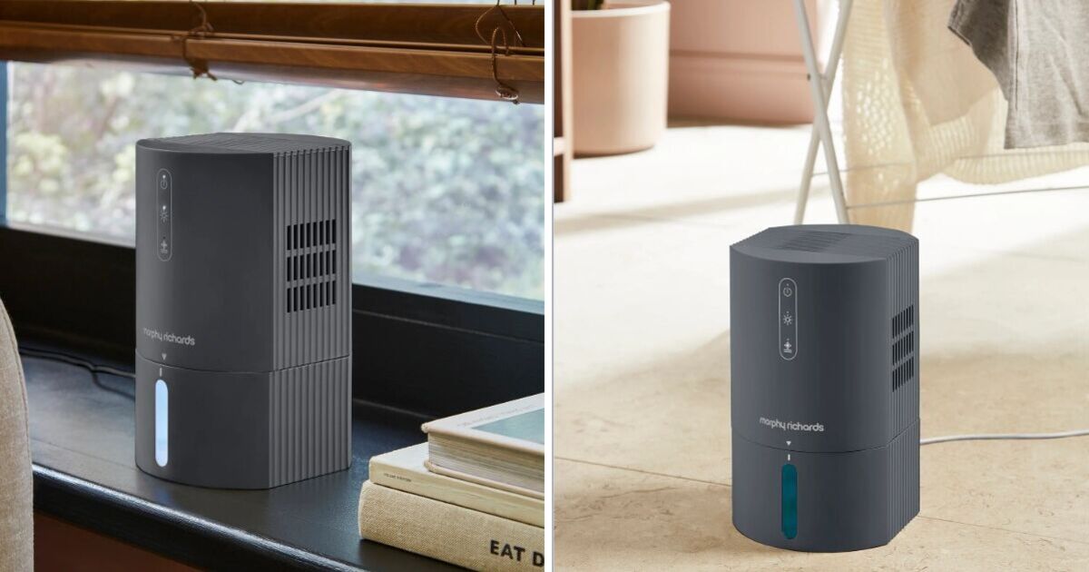 Morphy Richards slashes dehumidifier by 25%