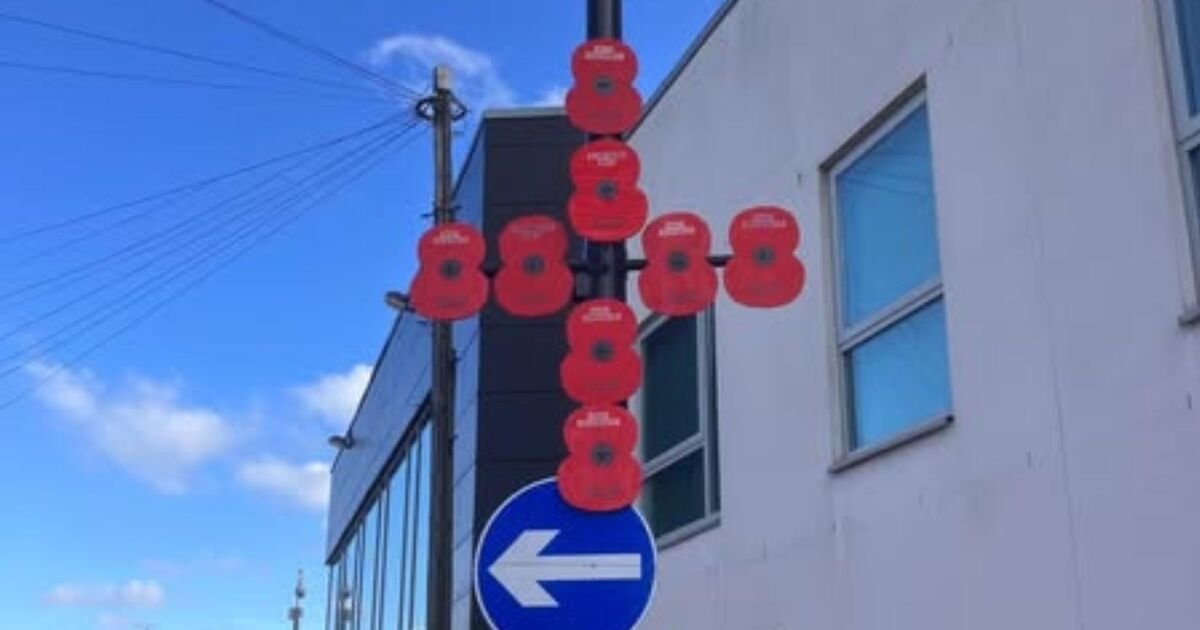 Poppy-display-axed-as-UK-council-shut-down-Remembrance-Day.jpg