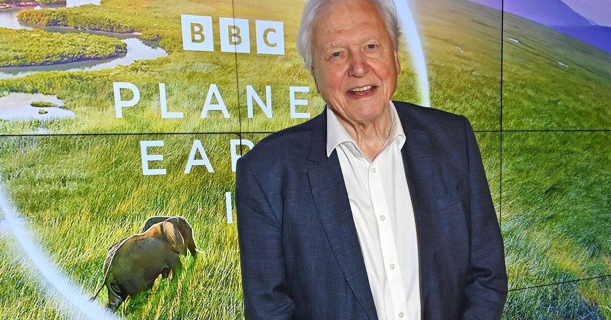 Waterstones names its books of the year – one is by David Attenborough