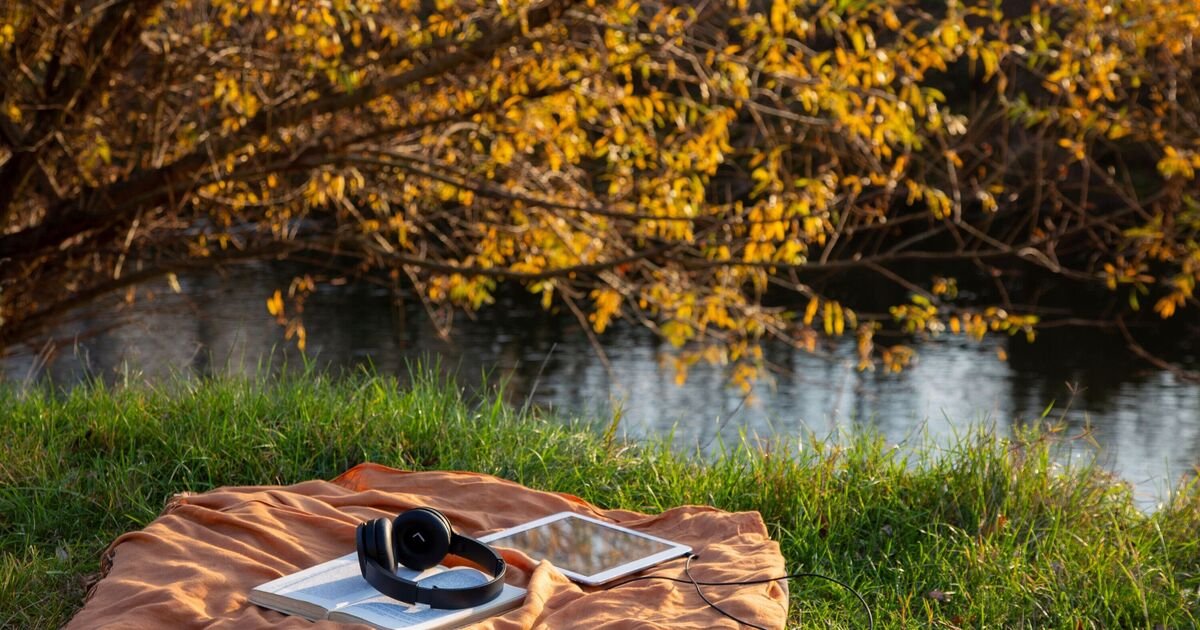 ‘Greatest book of all time’ is period classic named ‘timeless masterpiece’