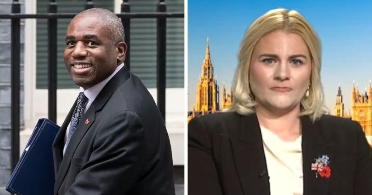 David-Lammy-humiliated-on-GMB-as-Labour-minister-cant-defend.jpg