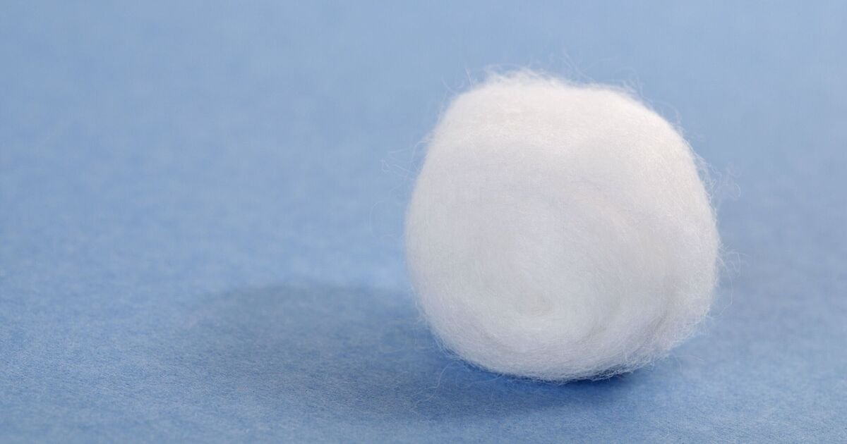 Households urged to put cotton wool on windowsills in November | UK | News