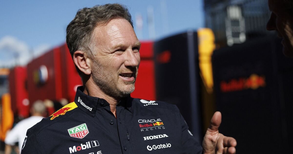 Martin-Brundle-rules-out-one-Christian-Horner-F1-return-option.jpg