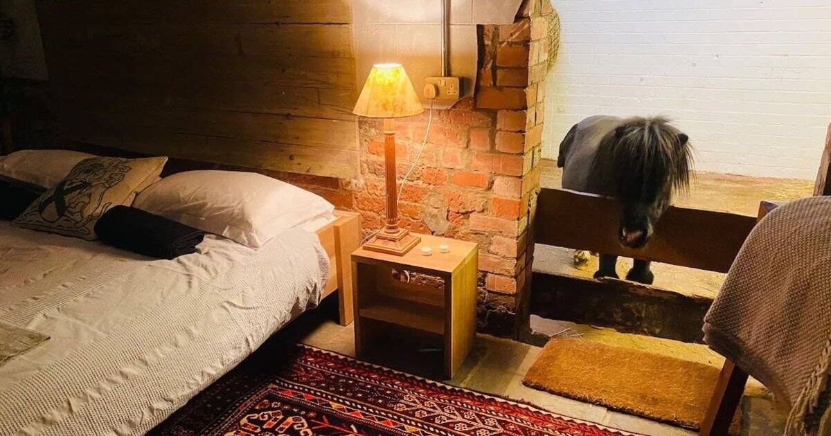UK Airbnb lets you sleep in barn shared with a horse | UK | Travel