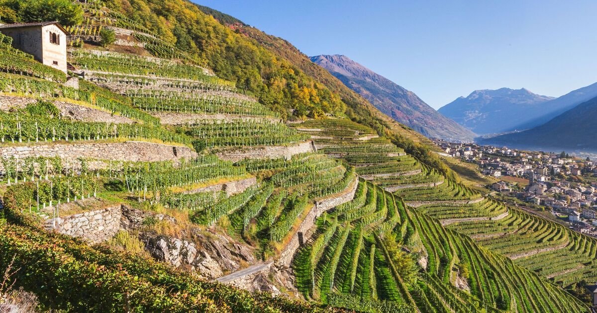 Wine region 2 hours from UK and way cheaper than Champagne | Travel News | Travel