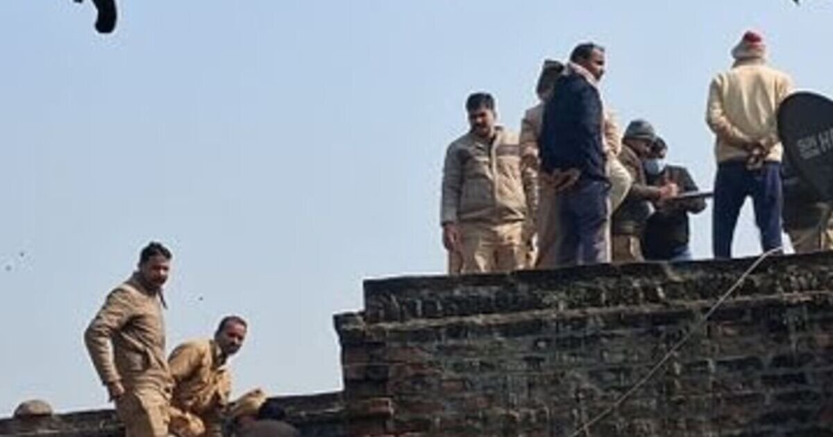 Horror as man kills own mum and wife and then chews flesh from their skulls | World | News