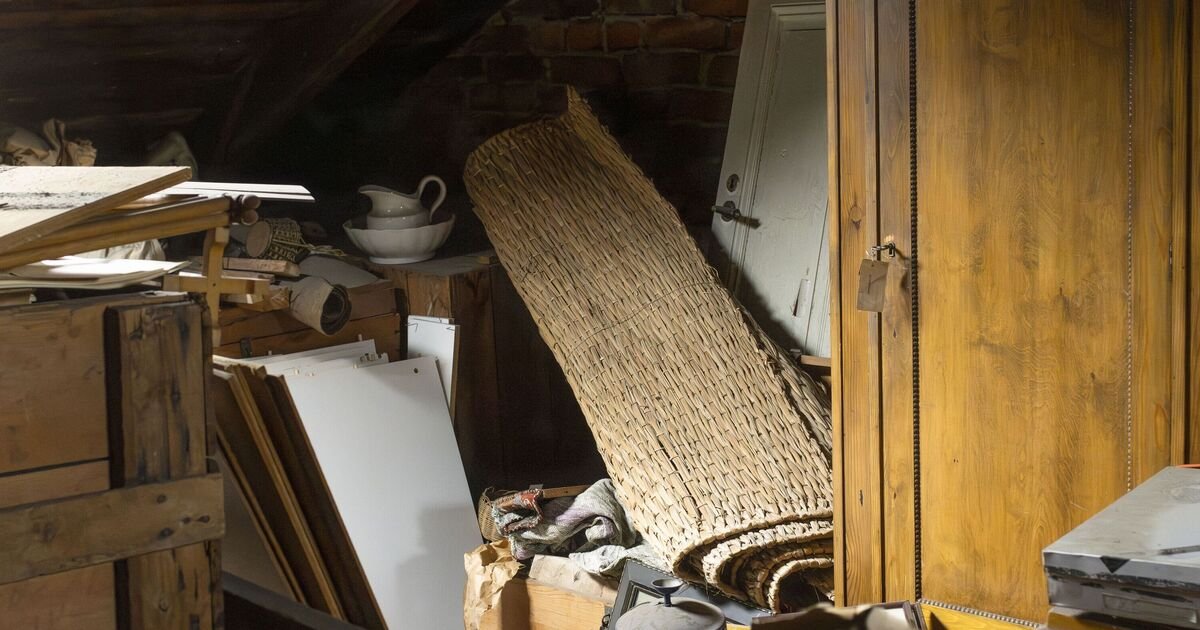 Households urged to check attics and lofts this January – prosecution risk
