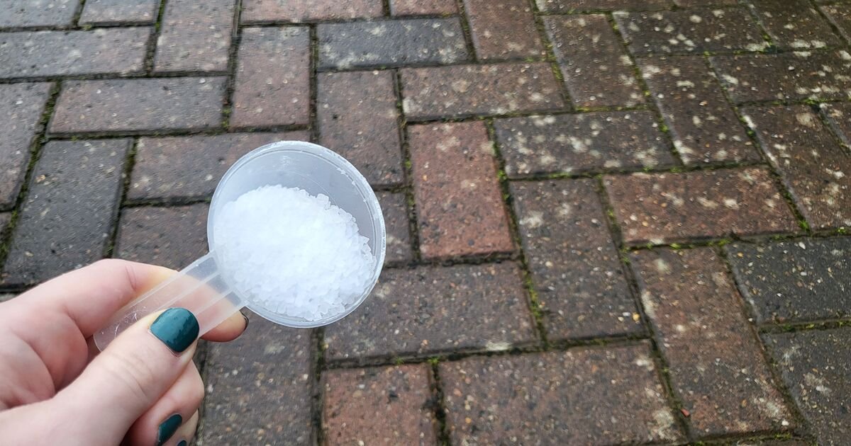 Households-urged-to-sprinkle-dishwasher-salt-on-driveways-UK.jpg