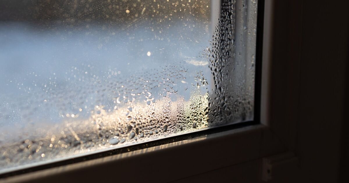 Stop window condensation and mould with simple cheap household item