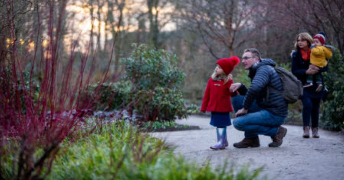 Stroll into 2026 with 13 of the best winter walks with National Trust