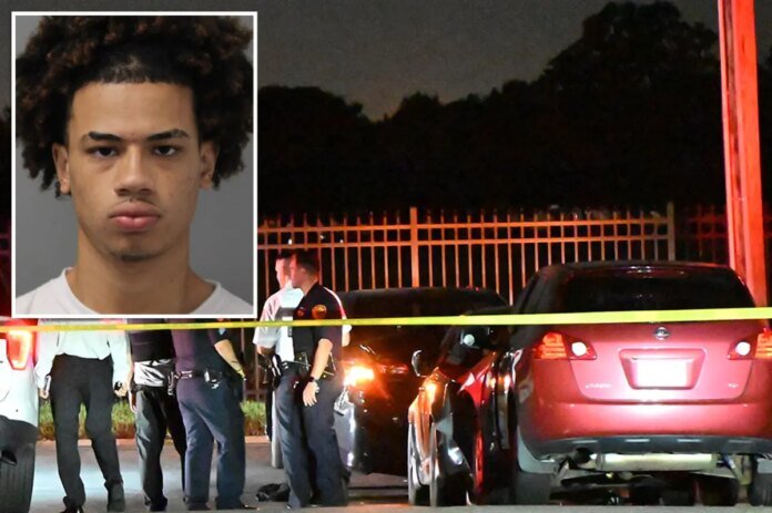Teen-who-injured-six-in-hit-and-run-crash-including-woman-whose.jpg