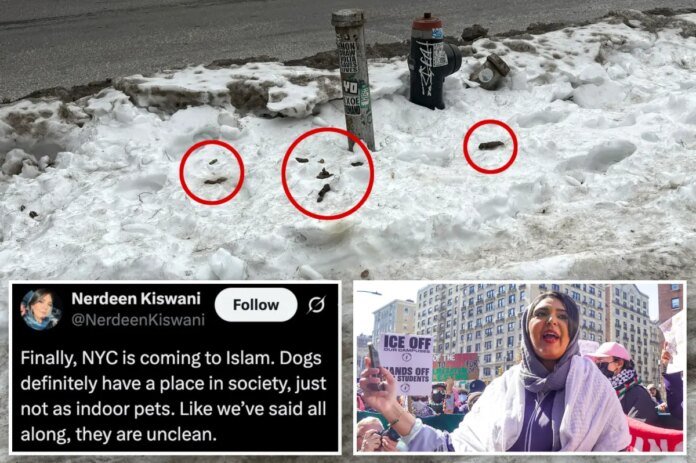 Anti-Israel-activist-quips-dog-poop-apocalypse-proves-why-NYC-should.jpg