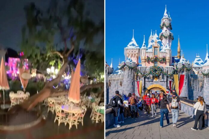 Disneyland-downplays-claim-of-a-tree-falling-on-visitors.jpg