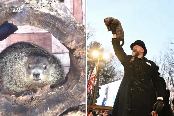 Heres-when-and-where-Punxsutawney-Phil-and-Staten-Island-Chuck.jpg