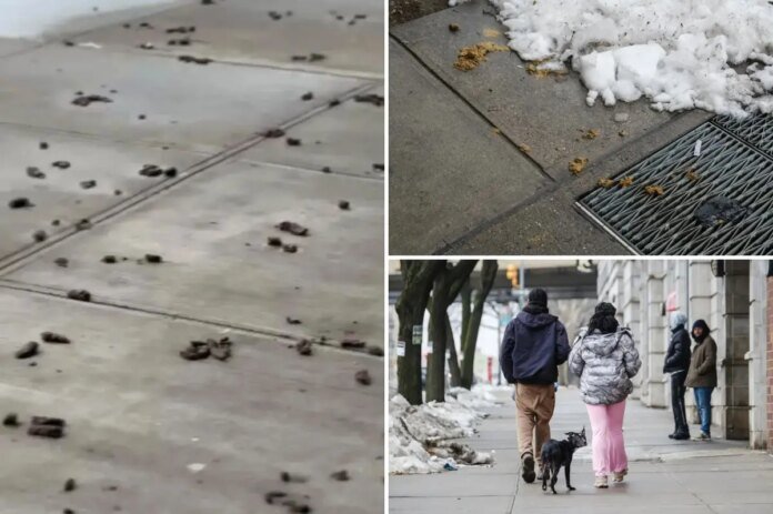 NYCs-most-poop-filled-areas-revealed-as-dog-waste-complaints.jpg