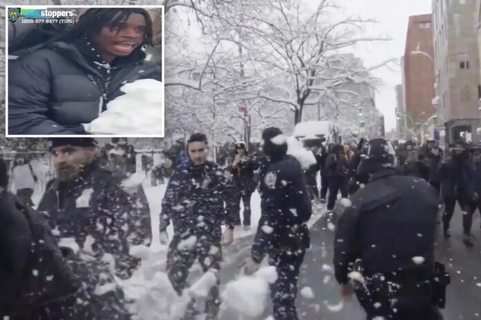 Punk-with-rap-sheet-arrested-in-NYPD-snowball-attack.jpg