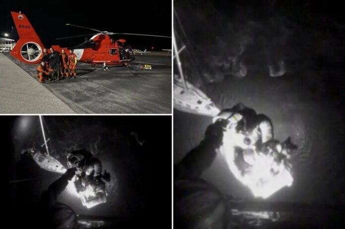 Shipwrecked-boater-dog-saved-in-daring-caught-on-video-Coast-Guard-rescue.jpg