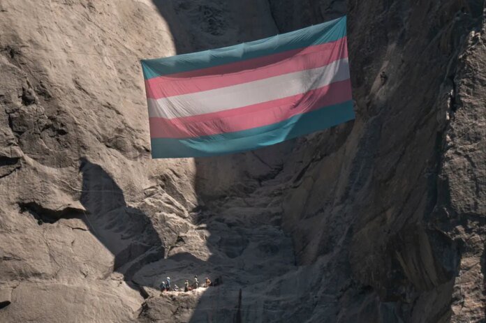 Nonbinary-bat-biologist-fired-for-hanging-trans-flag-above-Yosemite.jpg