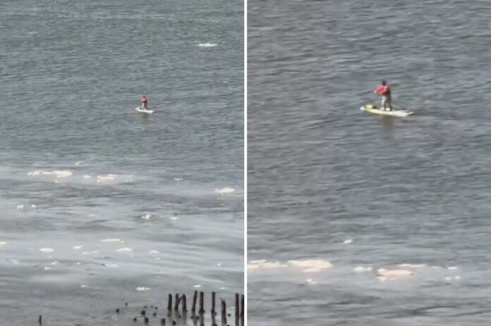 Paddleboarder-wearing-backpack-cruises-along-the-icy-Hudson-River-video.jpg