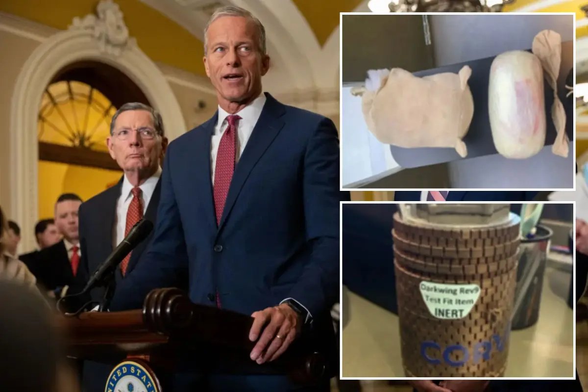 TSA has seized drugs, guns — despite Dem-fueled funding freeze that’s kept workers on furlough