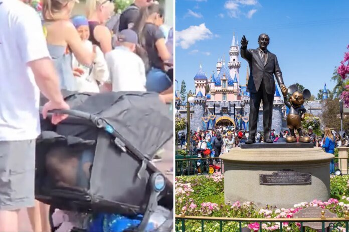 Disneyland-visitors-in-Anaheim-caught-on-video-sneaking-in-child.jpg