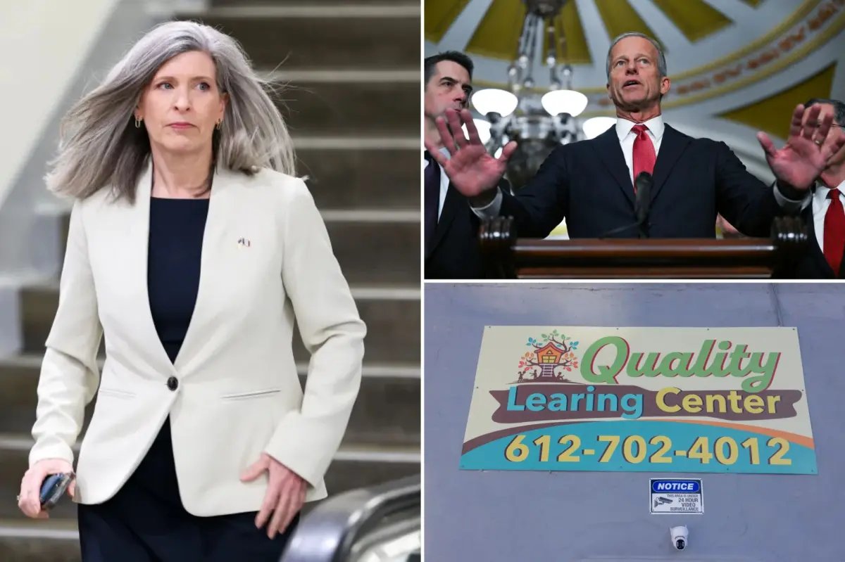 Senate Republicans unveil suite of anti-fraud bills to save $240B