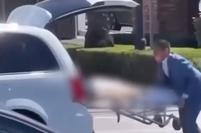 Corpse-falls-out-of-mortuary-van-in-LA-street-morbid.jpg