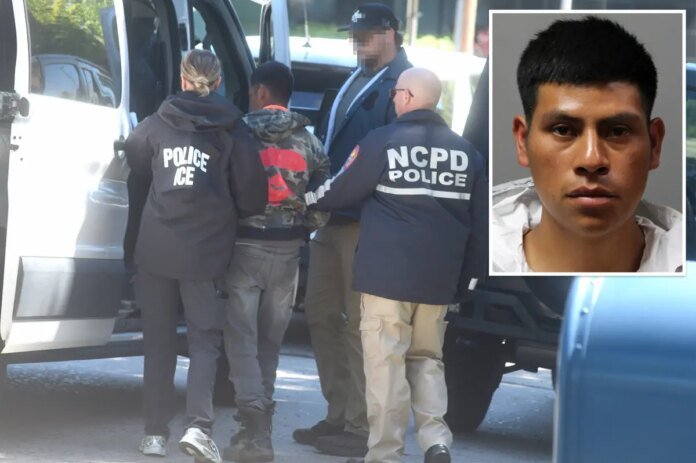 Illegal-migrant-nabbed-for-setting-string-of-‘dangerous-fires-on.jpg