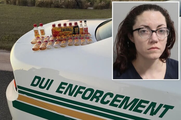 Incoherent-driver-found-surrounded-by-Fireball-whiskey-after-crashing-onto.jpg