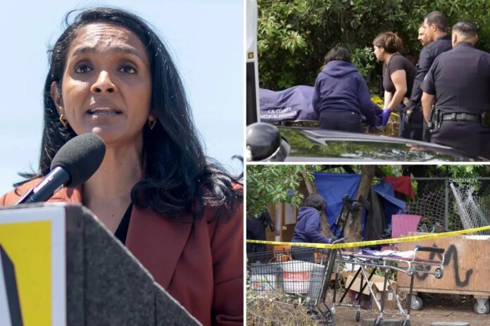 Nithya-Raman-abandons-4M-for-homeless-encampment-cleanup-during-run.jpg