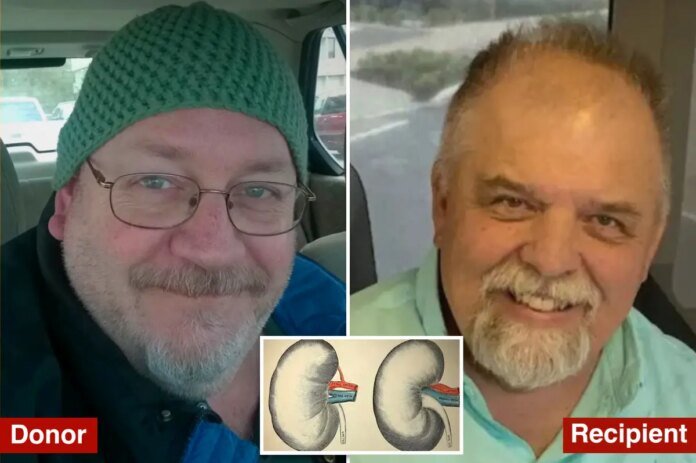 Organ-donor-unwittingly-had-rabies-and-now-recipient-is-dead.jpg