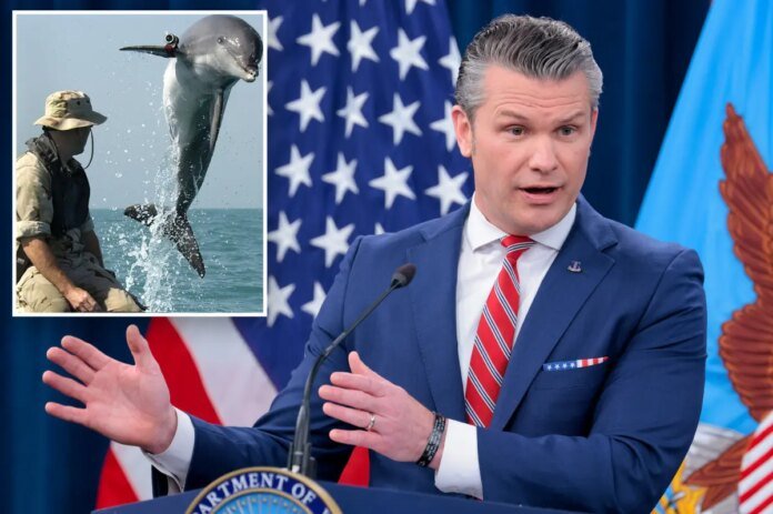 Pentagon-denies-Iran-has-kamikaze-dolphins-—-but-suggests-US.jpg