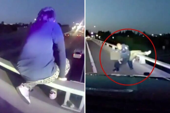 Sacramento-Police-save-person-leaning-over-freeway-overpass.jpg