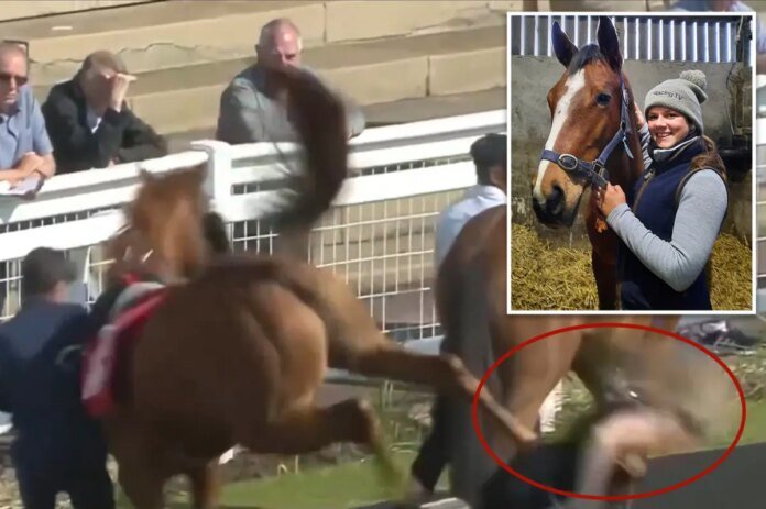 Trainer-Richard-Faheys-assistant-gets-brutally-bucked-by-racehorse.jpg