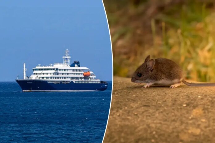 What-is-hantavirus-Disease-suspected-of-killing-3-on-cruise.jpg