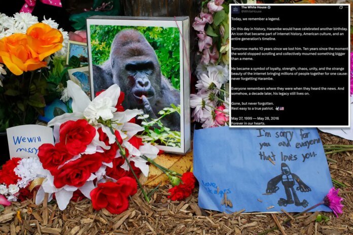 White-House-commemorates-true-patriot-Harambe-on-what-would-have.jpg