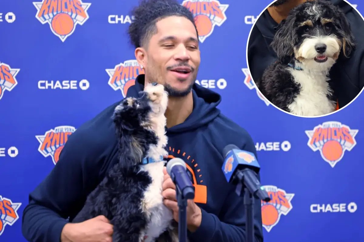 Why Josh Hart brought a dog to practice with Knicks playoffs on hold