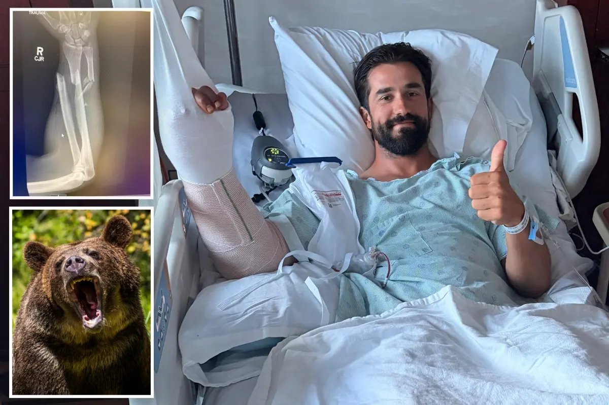Hiker details horrifying grizzly attack in Glacier National Park