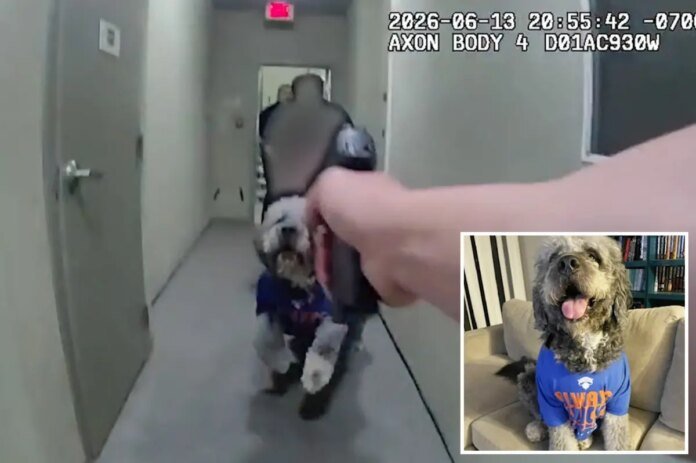 Horrific-bodycam-video-reveals-moment-beloved-dog-is-shot-4.jpg