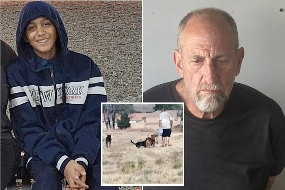Owner of vicious dogs arrested after aggressive pack chased boy to his drowning death at California park
