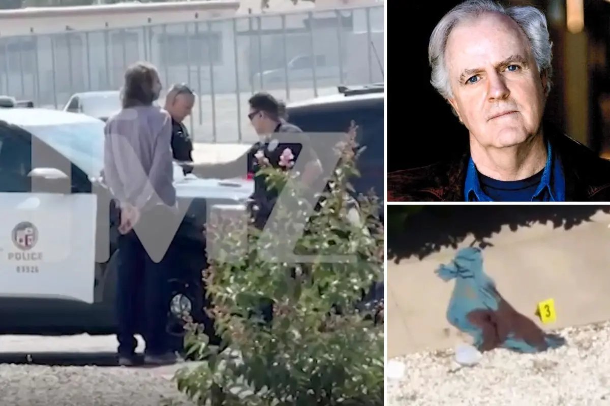 Video shows Michael Gledhill standing eerily still after stabbing arrest